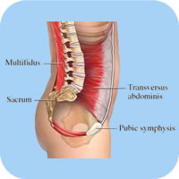 posturatorino core-stability